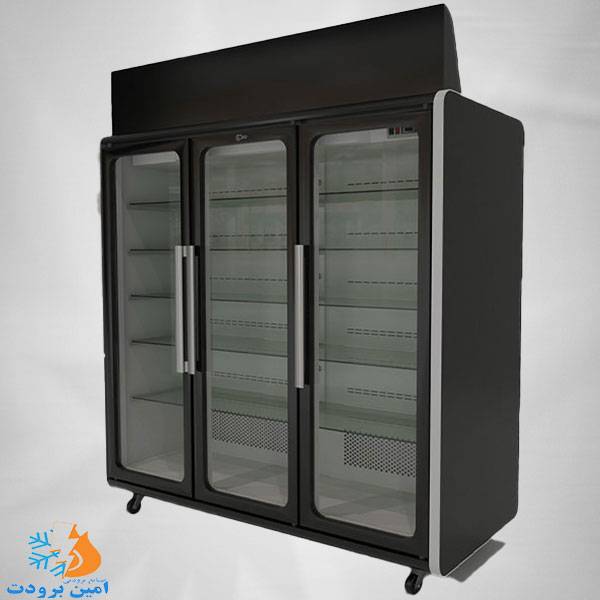 یخچال ایستاده کارمانیا
